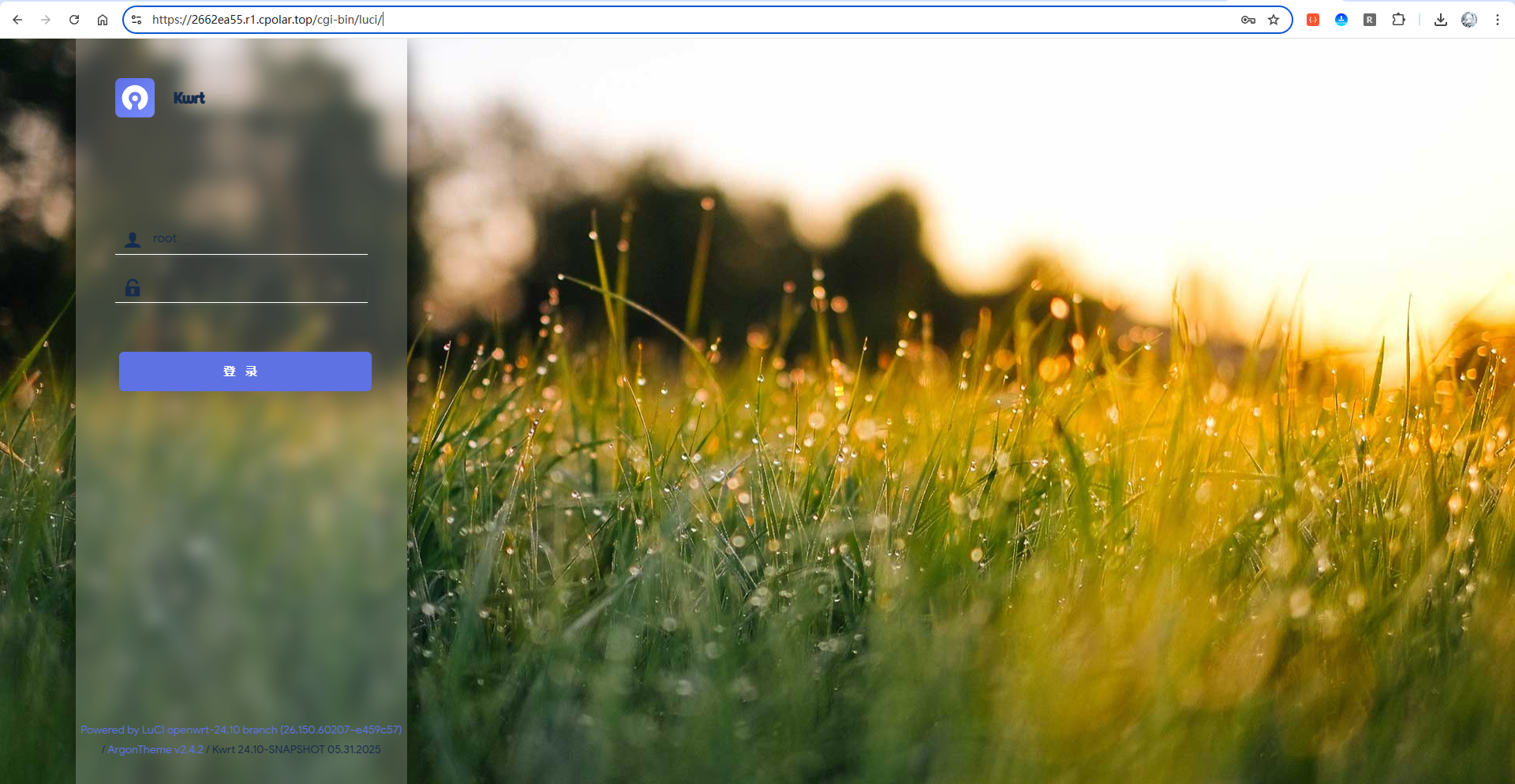 image-20251019211023807