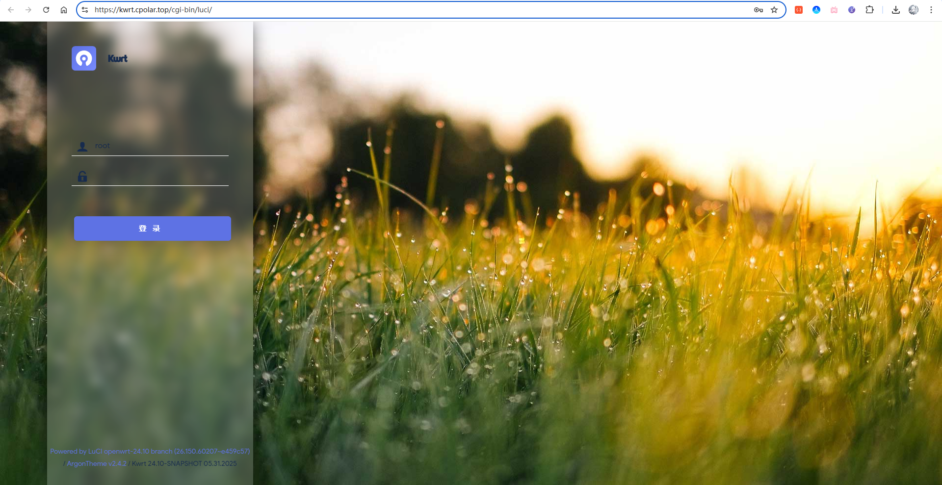 image-20251030141248430