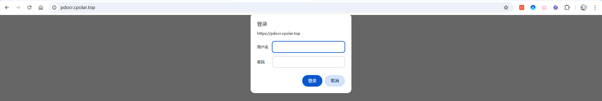 image-20251109215307265