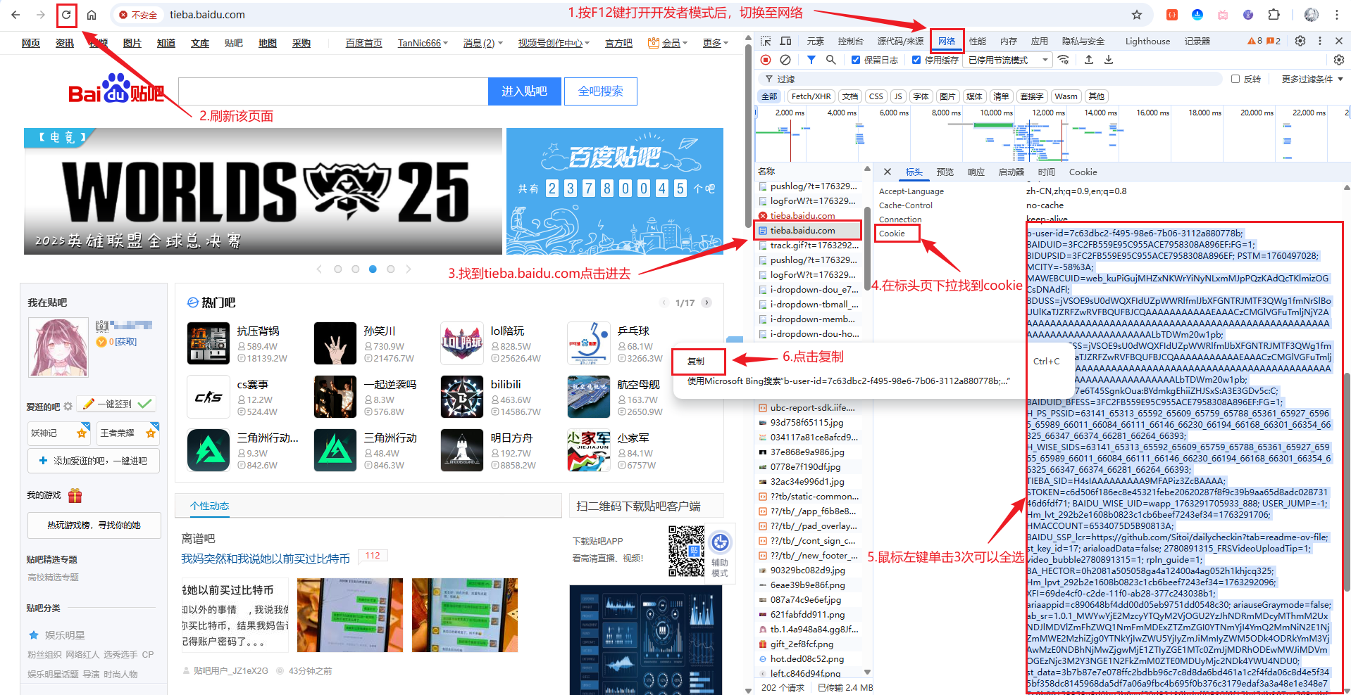 image-20251116192503406