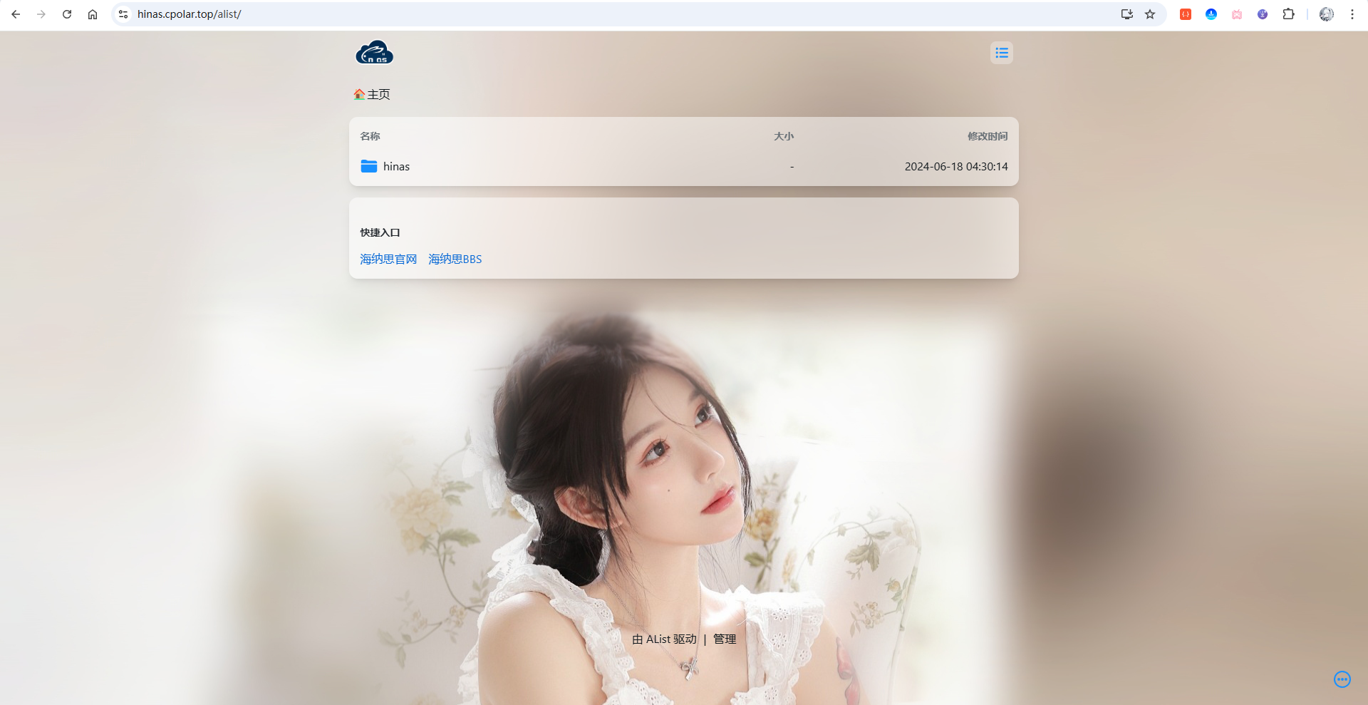 image-20251130221559825