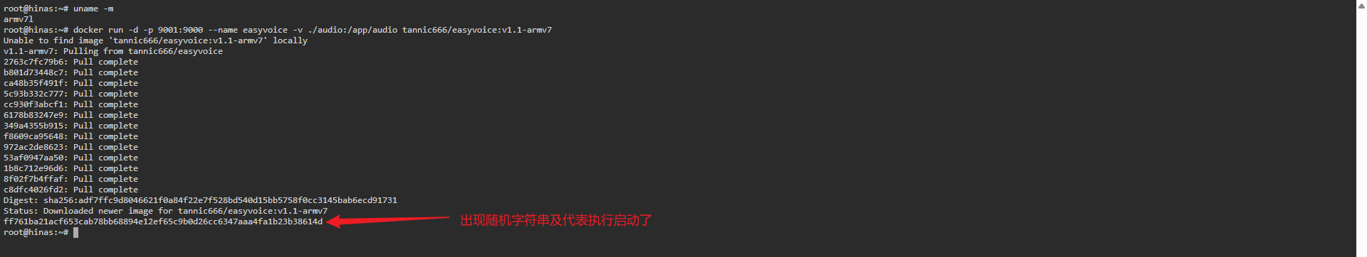 image-20251204163314658