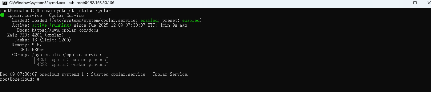 image-20251209153125982