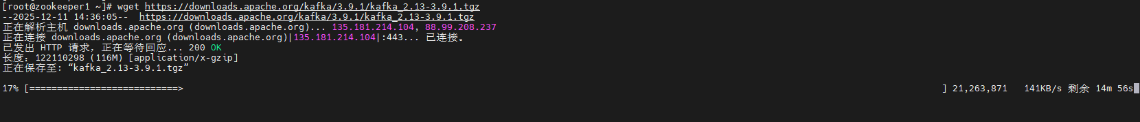 image-20251211143927163