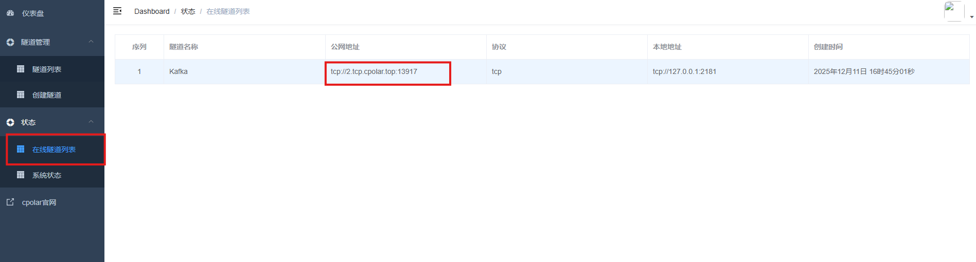 image-20251211164546052