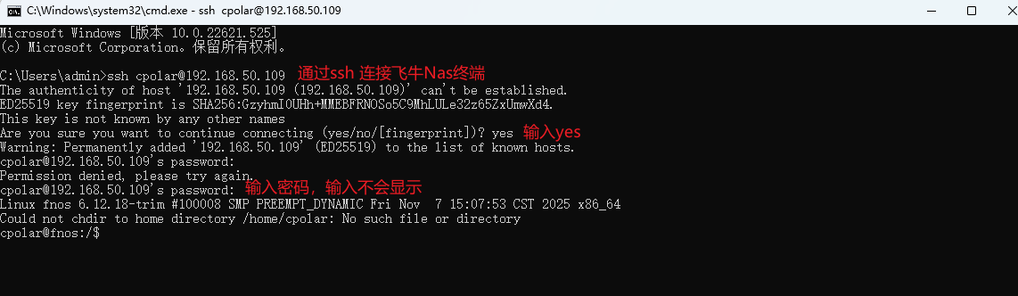 image-20251223134907512