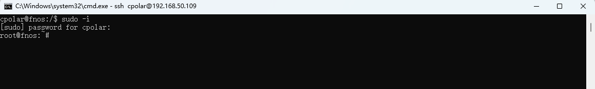 image-20251223134948483