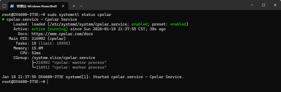 image-20260118213830382