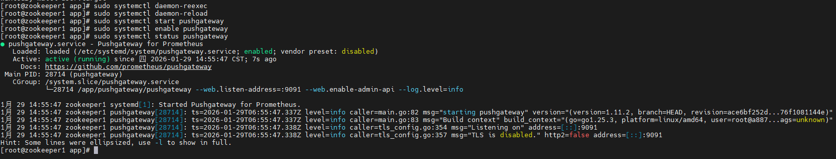 image-20260129145603537