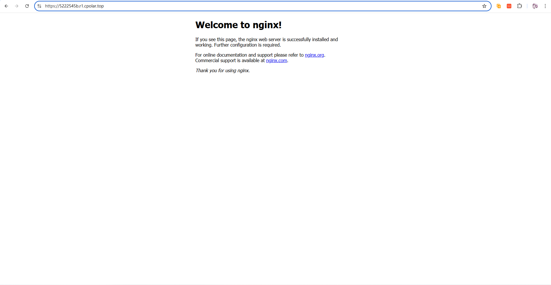 image-20260203162148870