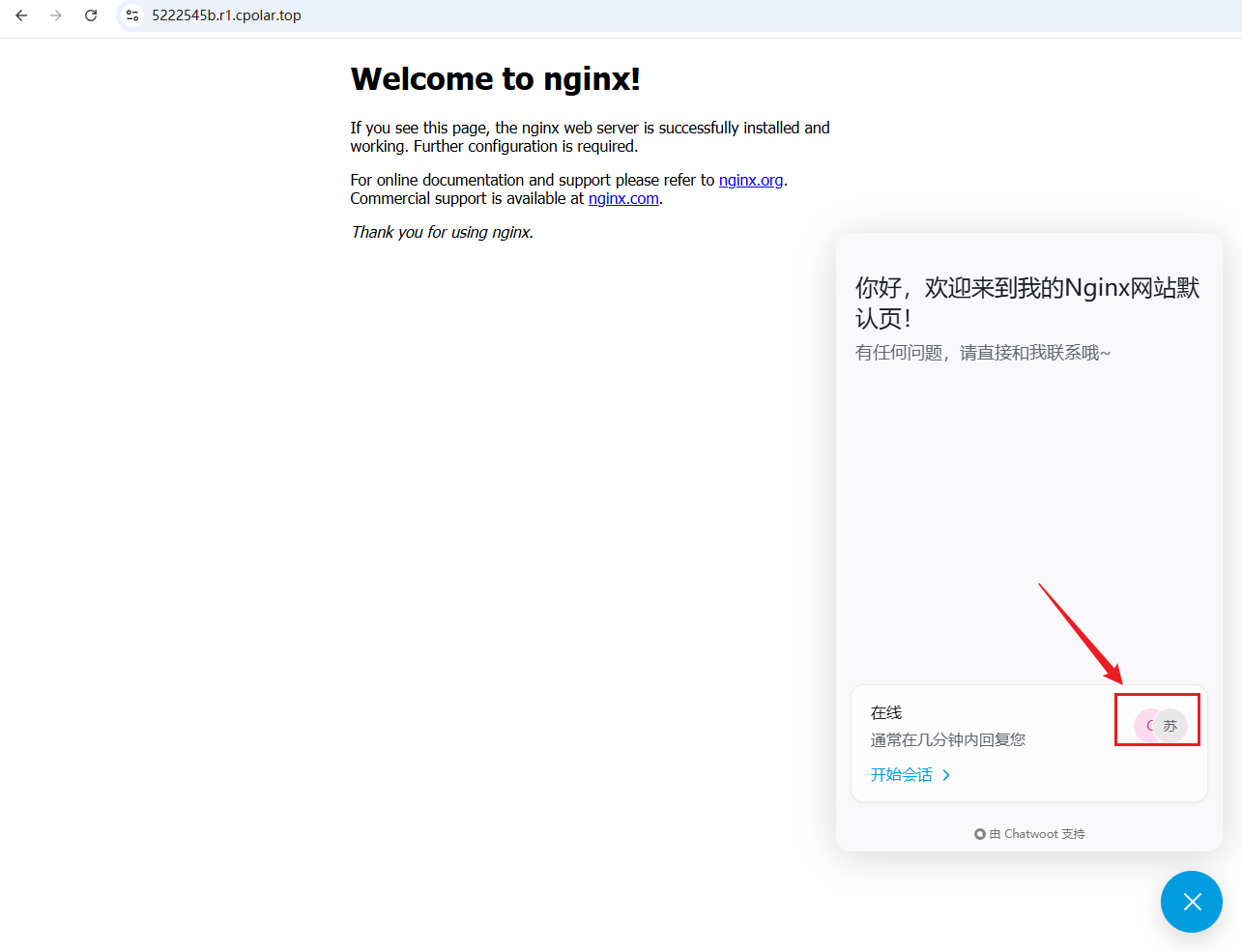 image-20260203170617055