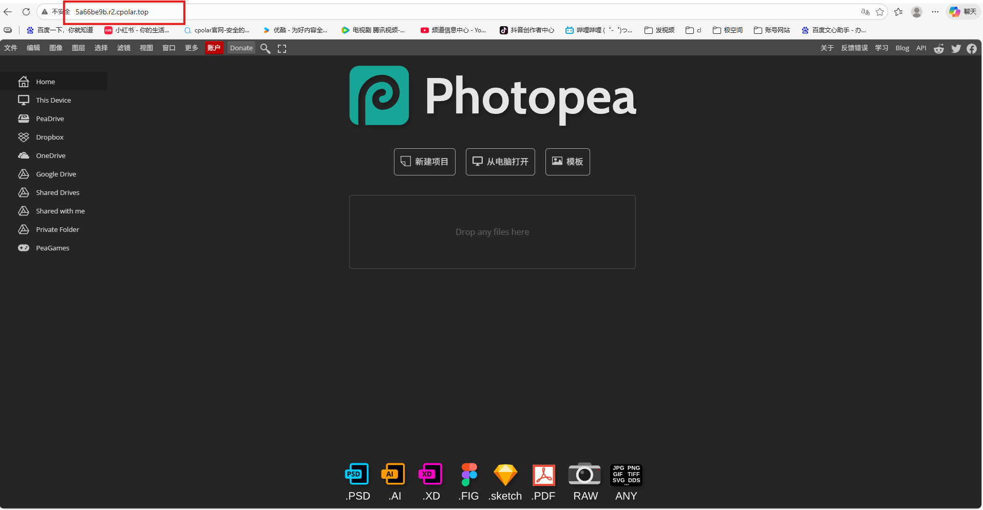 image-20260211113601814