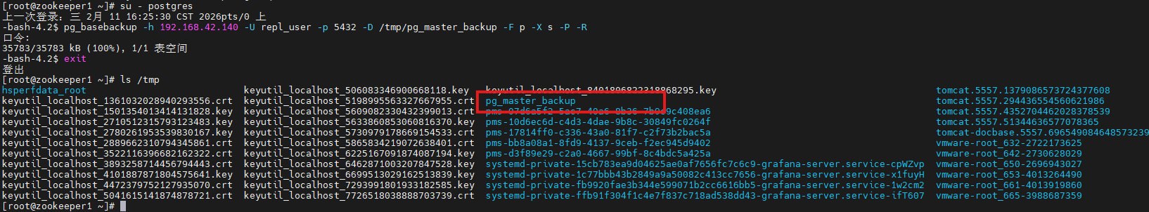 image-20260211162830551