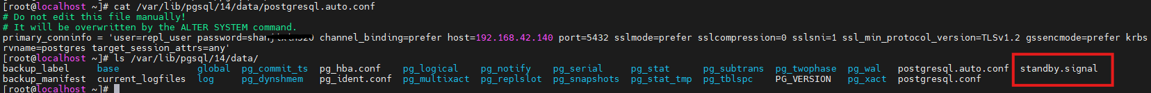 image-20260212151115299