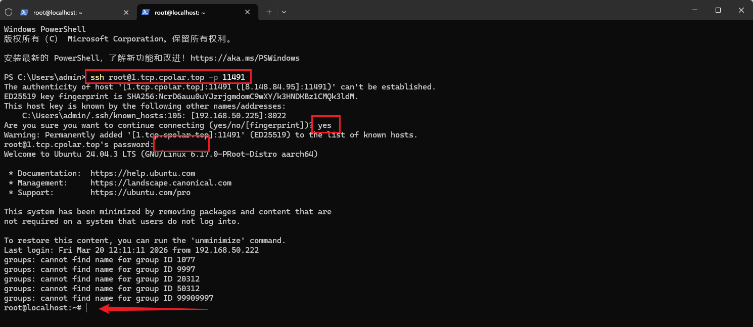 image-20260320205114105