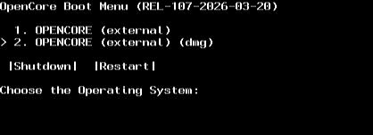 image-20260605185905671